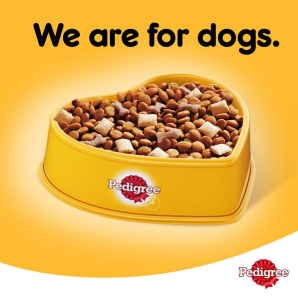 Pedigree Chicken & Vegetables Dry Dog Food (Adult) 3kg