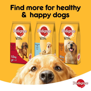 Pedigree Chicken & Vegetables Dry Dog Food (Adult) 3kg
