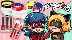 Lady bug makeup set